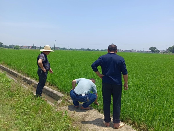 行穩致遠勇爭先 奮力跑贏“上半場”