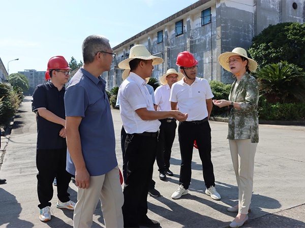 新干縣委書記譚曉艷到江糧集團新干公司調研早稻收購及安全生產工作