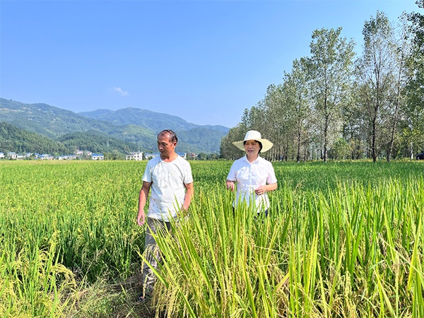 江糧集團(tuán)：守牢糧食安全底線 助推糧食產(chǎn)業(yè)高質(zhì)量發(fā)展