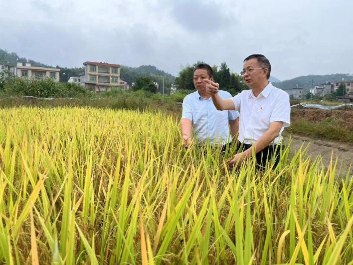 喜報！江糧集團駐村工作隊榮獲年度考核“好”等次